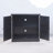 Storage Cabinet With Mirrored Doorsand Adjustable Shelf-1447174678