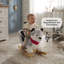 Animal Rocker