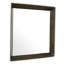 Mirror Othello Square Bronze Finish