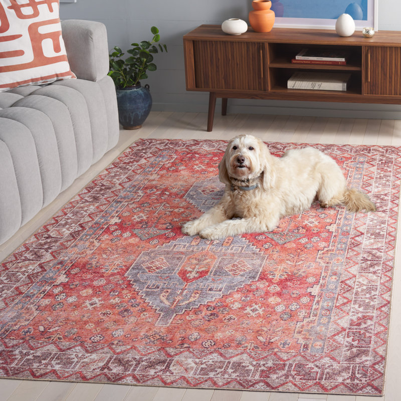Chaveli Performance Machine Washable Oriental Rug, Rectangle 5'1" x 7'6"