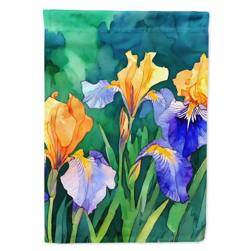 Double Sided 40'' H x 28'' W Polyester House Flag