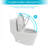 Ceramic One Piece Toilet