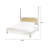Transitional Mirrored Frame King Size Bed