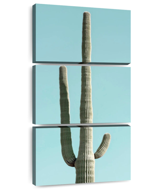 Cactus du désert