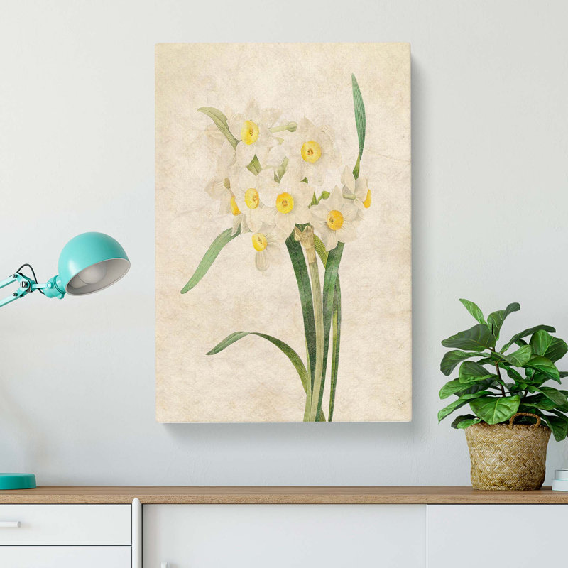 White Daffodils by Pierre-Joseph Redoute - Wrapped Canvas Print, 50cm H x 35cm W x 3cm D