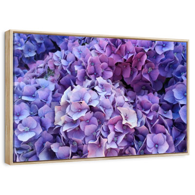 Grappes d'hortensias mauves