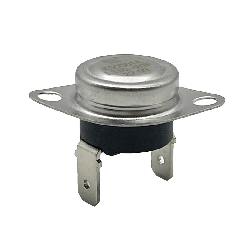 Whole Parts Thermostat