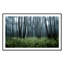 Eerie Trees IV Print by Jakob Wagner-48617440-48617434
