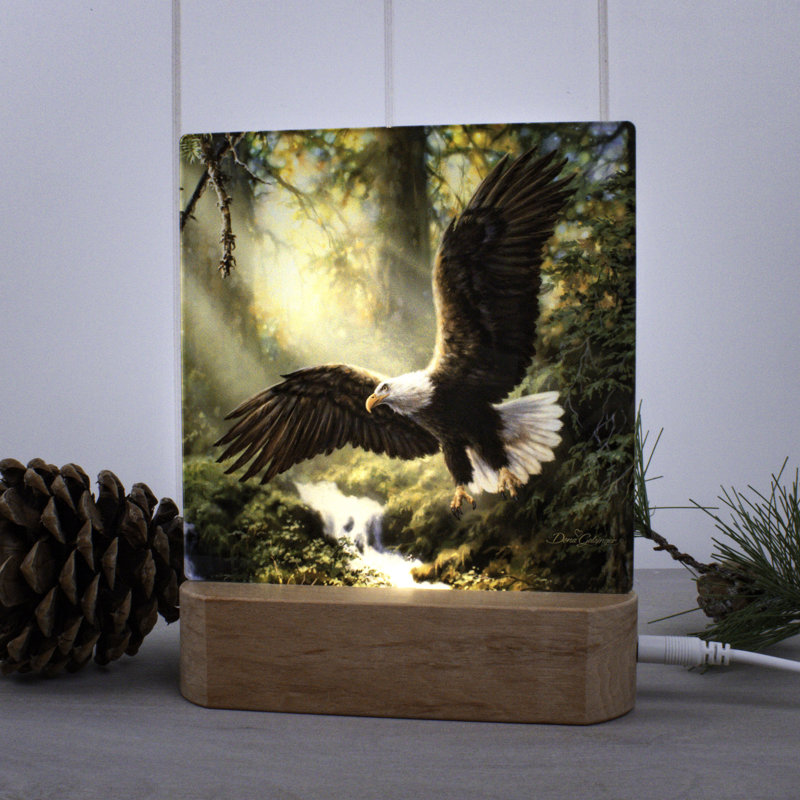 Eagle's Flight Night Light