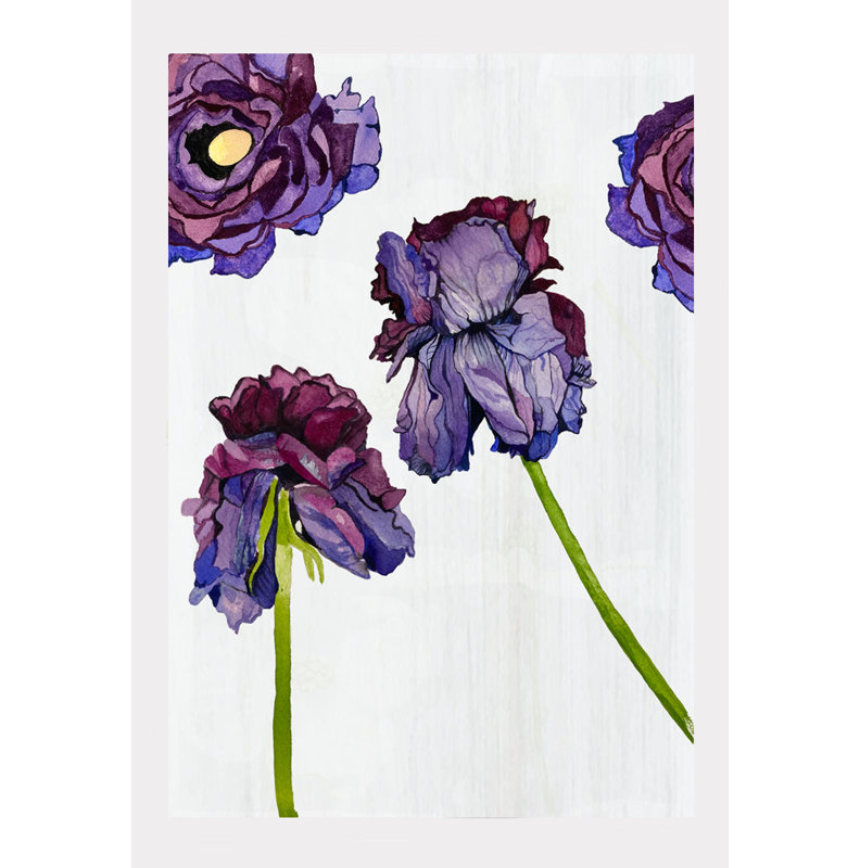 Reproduction d'art: Renoncule flétrissant sur blanc, H 11 po x l 8,5 po
