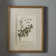 Floral Botanical Study - 6 Piece Single Picture Frame Print