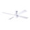 Flush Mount Ceiling Fan