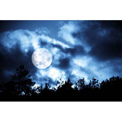 " Moon Over Trees " by Adamg1975