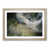 Oak Framed