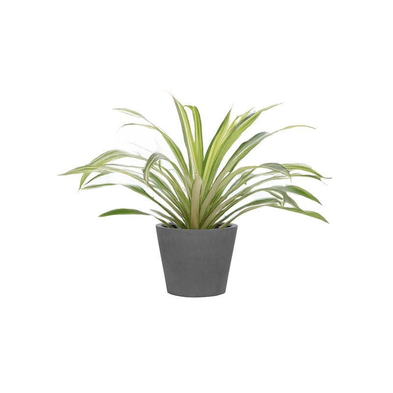 Pot à fleurs en fibre de verre Slovan, Gris, H 13 po x l 15 po x P 15 po