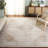 Pelluru Performance Oriental Rug-962863211