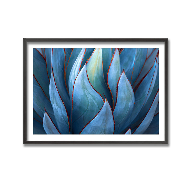 Nature Inspired Blue Agave Abstract by  - Picture Frame Graphic Art on Paper, 32" H x 48" W