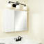 W H Medicine Cabinet Mirror