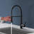 Topcraft Single-Handle Single-Hole Pull-Down Kitchen Faucet-69763891