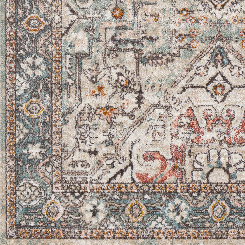 Diderike Oriental Indoor Rug, Rectangle 5'3" x 7'3"