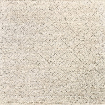 Borger Indoor Rug