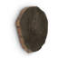 Cast Naturals Petrified Wood Wall Décor