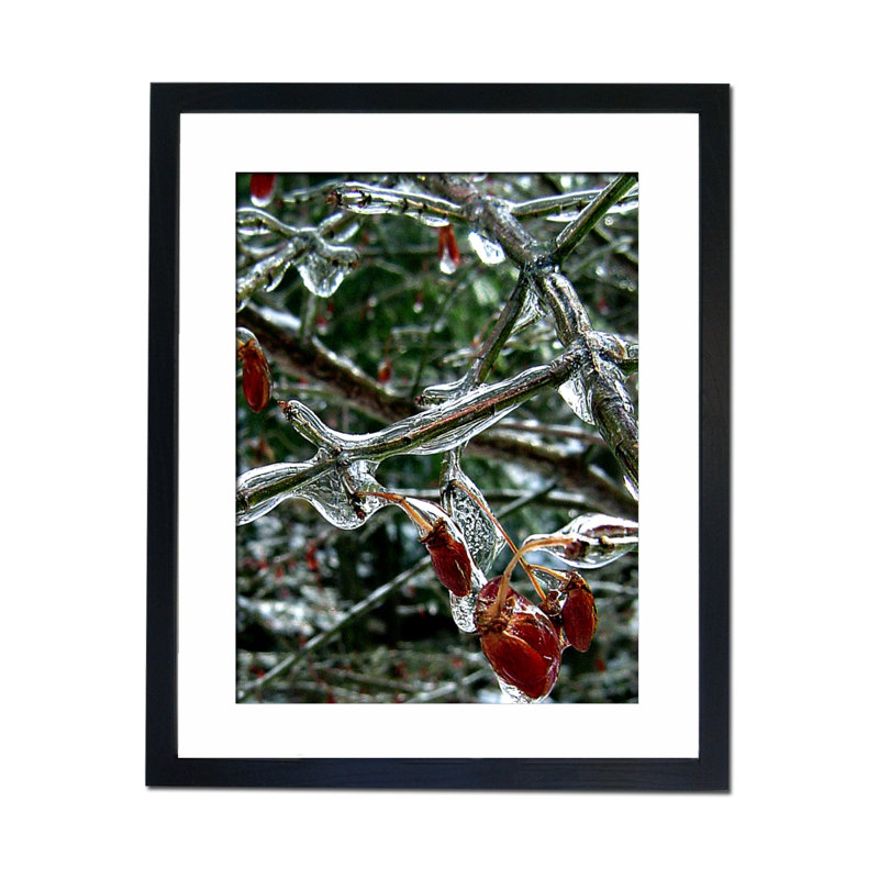 Single Picture Frame Print