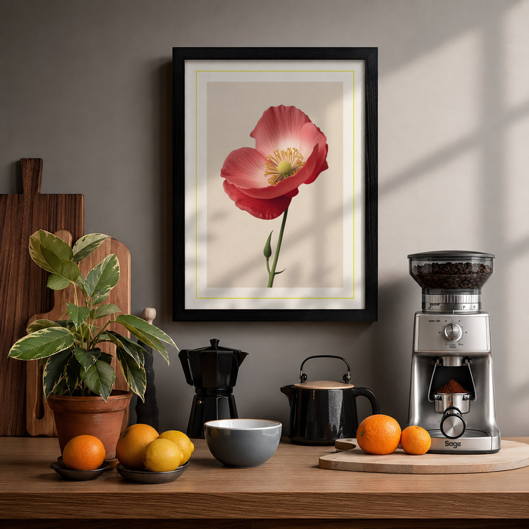 Single Poppy in Bloom Botanical - Framed Print