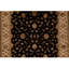 Oriental Area Rug