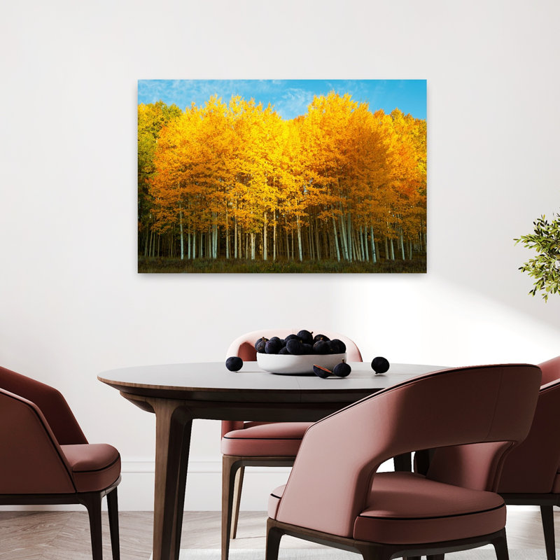 Aspen Trees in Autumn Last Dollar Road, Telluride, Colorado, États-Unis, art abstrait contemporain, paysage
