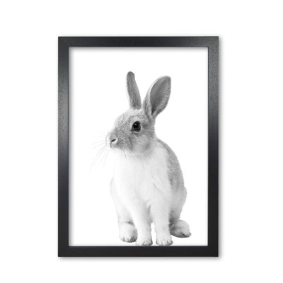 Bunny - Print