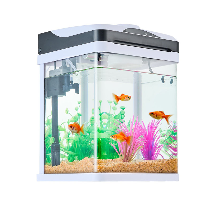 Ensemble d'aquarium intelligent 2 gallons avec éclairage DEL, filtre autonettoyant et affichage de la température - aquarium de bureau moderne
