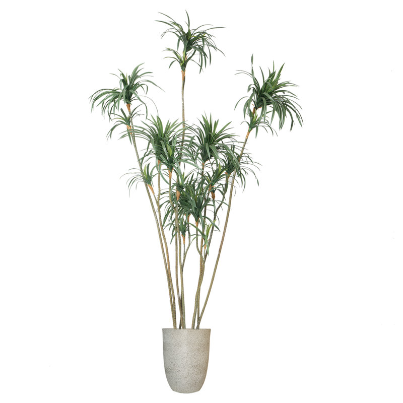 Dragon artificiel 106 po en pot