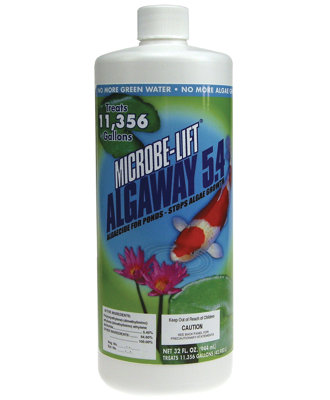 Algae Control