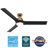 Hunter 60 inch Aeronaut Wi-Fi ENERGY STAR® Damp Rated Ceiling Fan with LED Light Kit and Handheld Remote