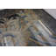 Antique Chinese - Textile Ivory 1850s Rug