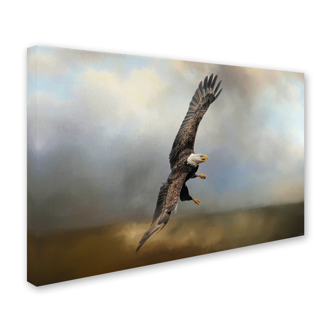 Vidur 'Up Against the Stormy Sea Bald Eagle' Graphic Art Print on Wrapped Canvas Millwood Pines 