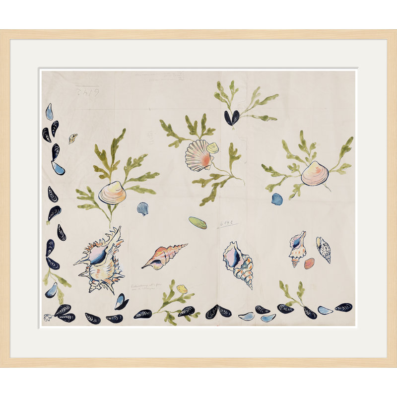 Shell 2 (Var. 1) Print by Paule Marrot