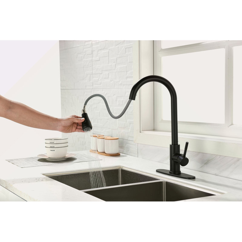 Kitchen Faucet With Pull Out Spraye, Matte Black