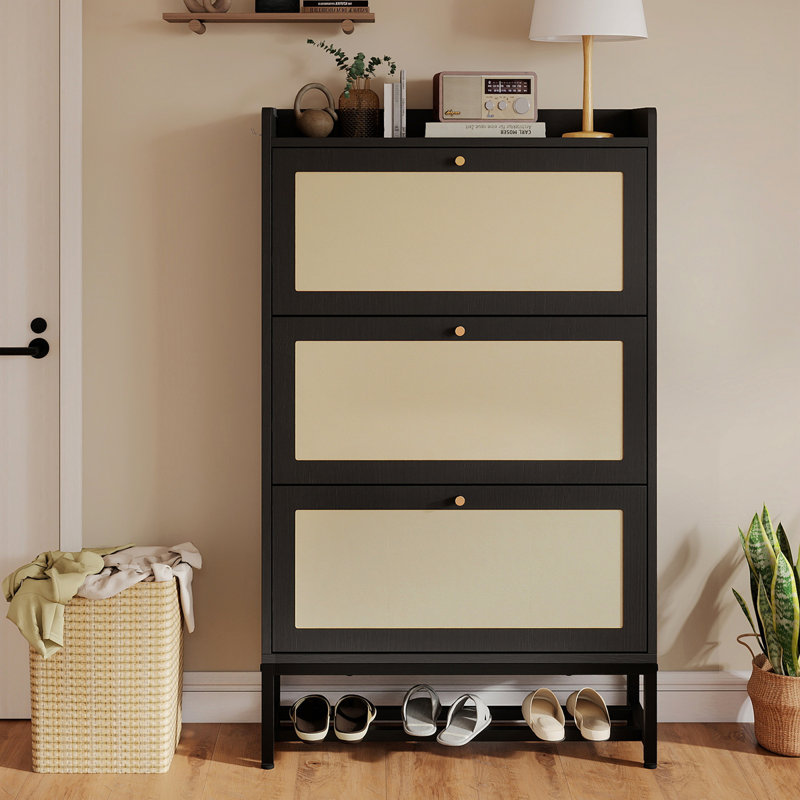 Armoire de rangement pour chaussures Slim, Noir
