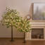 Ficus illuminé 6 pi 264 l