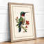 Hummingbird and Blossoms Botanical - Framed Print-644879272-644879278
