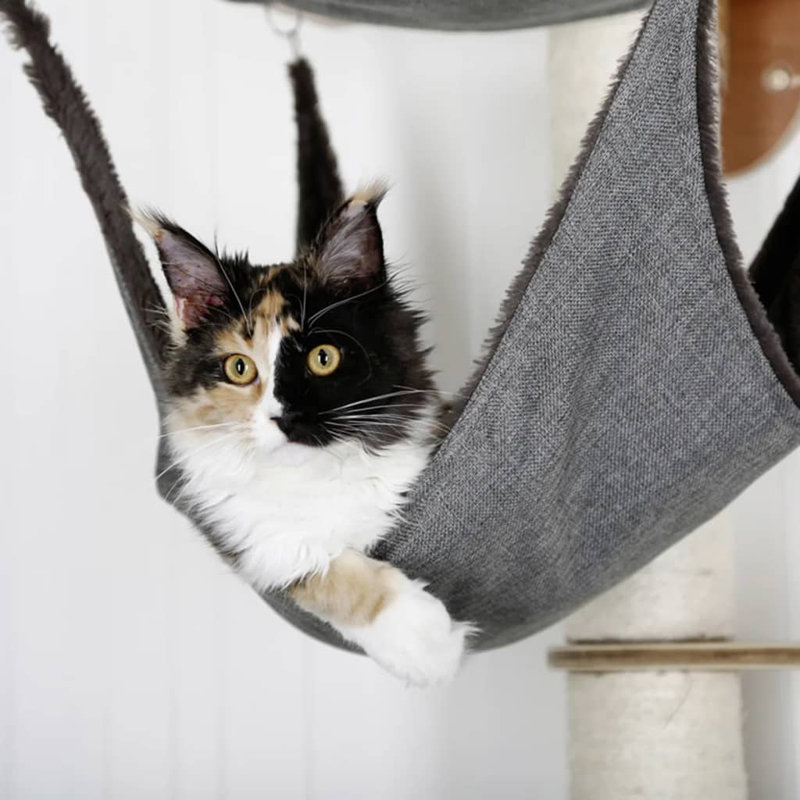 Duplessis 160cm H Cat Tree