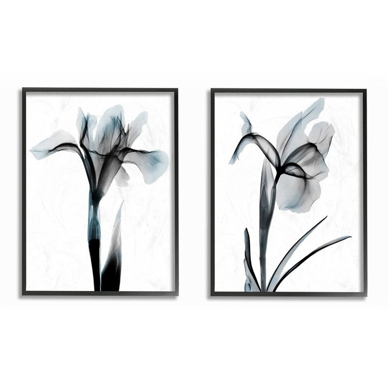 «Contrast Black and Blue Flower Bloom Designs» par Albert Koetsier, ensemble de 2 reproductions d'impressions