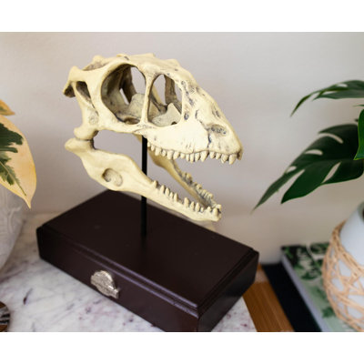 Decorative Object