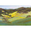 Santa Barbara Country Side Print by Dina Gardner-1156369073