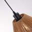 1 - Light Matte Black Single Pendant