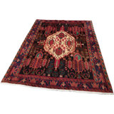 Oriental Area Rug in Rust