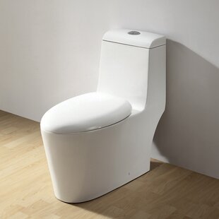 Royal Dual Flush Elongated One-Piece Toilet (Seat Included)