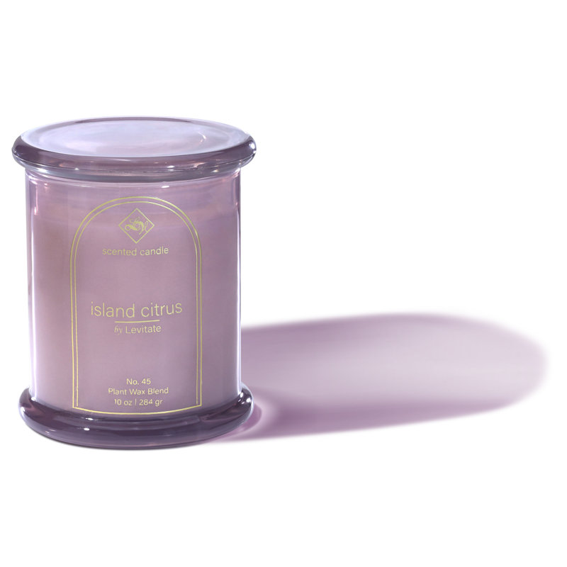 Island Citrus Purple Scented Jar Candle, 19 Ounces
